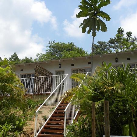 Bush Baby Glen Hazyview Quarto foto
