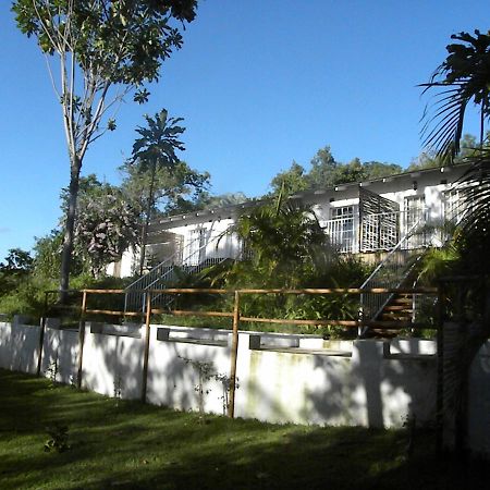 Bush Baby Glen Hazyview Exterior foto