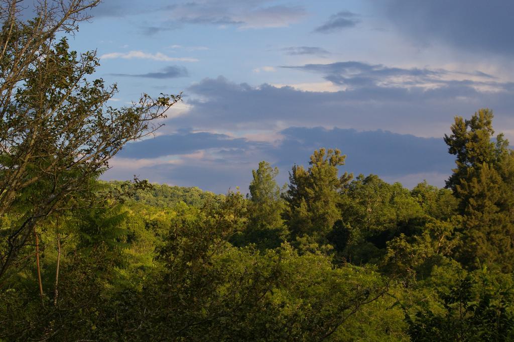 Bush Baby Glen Hazyview Quarto foto