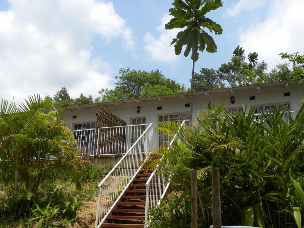 Bush Baby Glen Hazyview Quarto foto