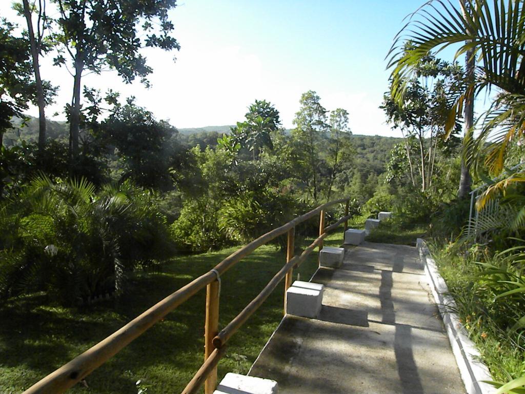 Bush Baby Glen Hazyview Exterior foto